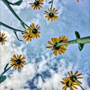 Meet your Posher, Barbi